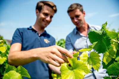 Reims afternoon tour Champagne and family growers