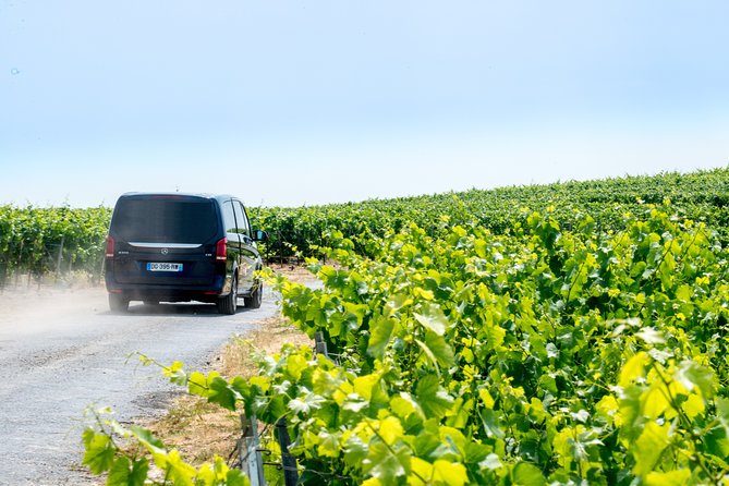 Reims afternoon tour Champagne and family growers - Who should book this Reims Champagne tour