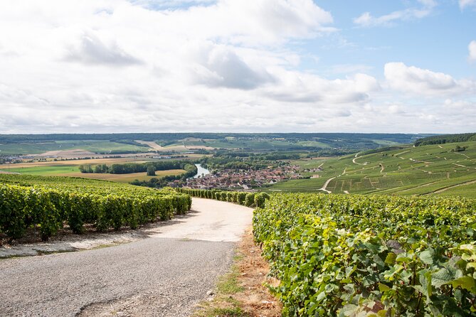 Reims afternoon tour Champagne and family growers - My verdict on the afternoon in Champagne