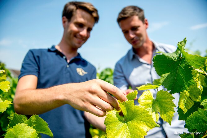 Reims afternoon tour Champagne and family growers - Hautvillers and the Dom Pérignon connection
