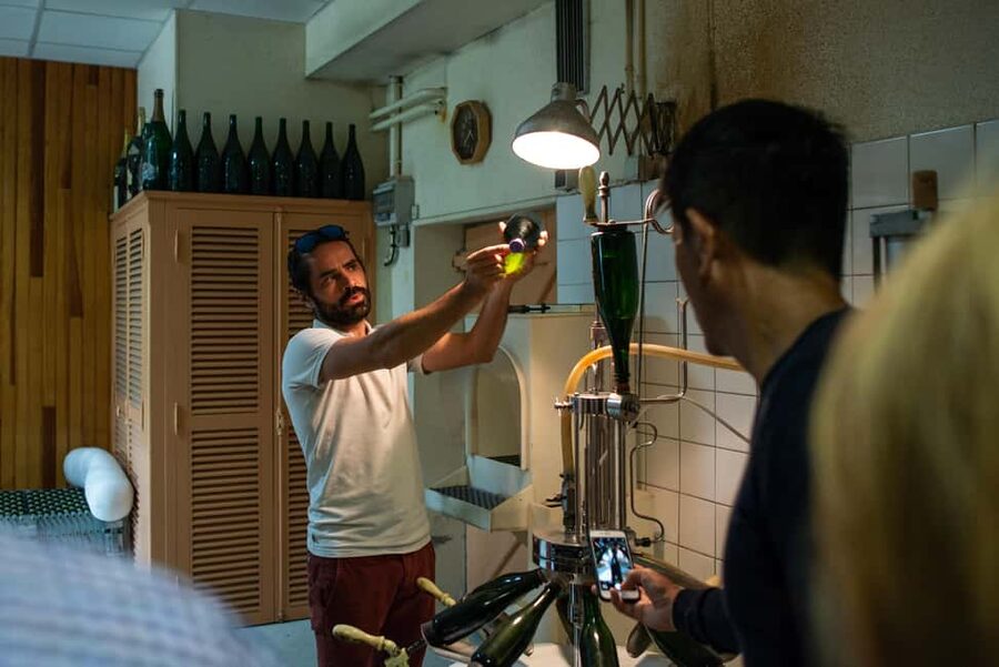 Reims: Veuve Clicquot and Family-Run Winery Day Tour & Lunch - Starting in Reims or Epernay