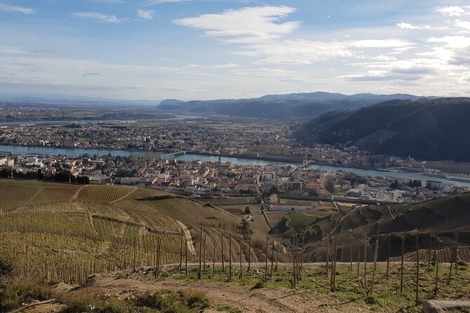 Rhône Valley Wine Tasting Private Day Tour from Lyon - Why Northern Rhône wine country makes a fine day from Lyon