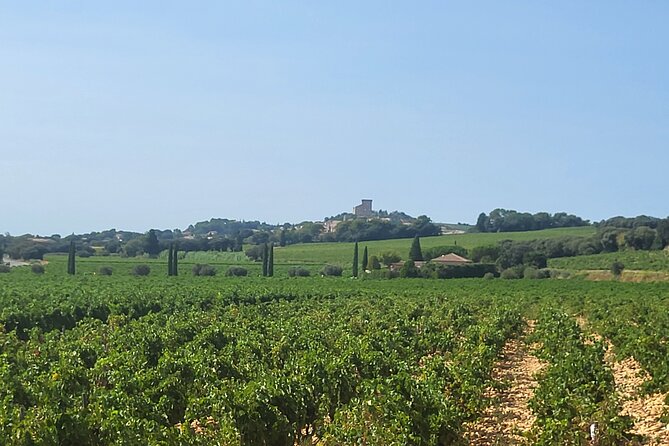 Roman Heritage & Wine Legacy - Gordana’s guiding style