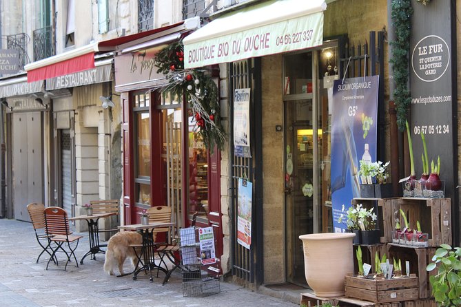Roman Sites and Historical Places Day Trip from Avignon - How the small van changes the experience