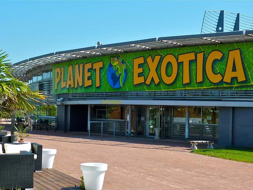 Royan: Planet Exotica Entry Ticket - Who will get the most from Planet Exotica