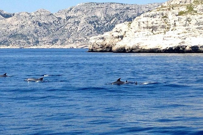 Sailing day in the heart of the Calanques - Morgiou: cliffs, cove, and a slower lunch hour