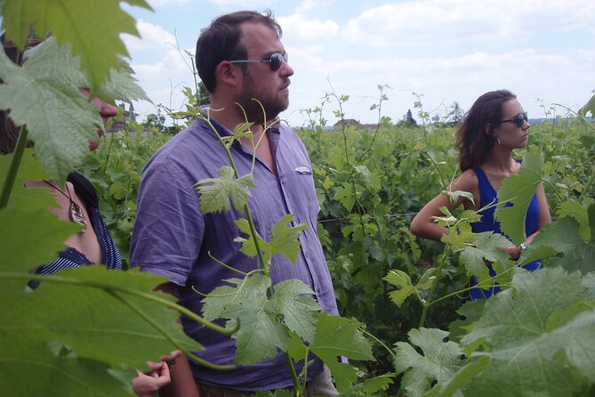 Saint-Émilion: 2 hours - Visit of the vineyard, the cellar and tasting - Walking the vines with a fourth-generation family