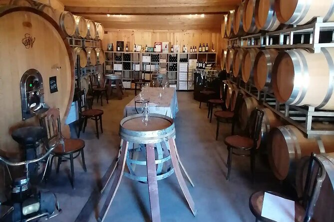 Saint-Émilion: 2 hours - Visit of the vineyard, the cellar and tasting - The barrel cellar and the quiet part of winemaking