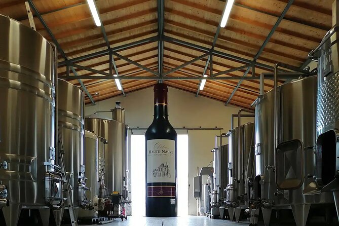 Saint-Émilion: 2 hours - Visit of the vineyard, the cellar and tasting - From grapes to wine in the winery