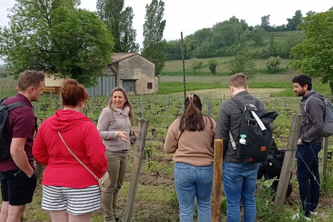 Saint-Emilion Afternoon Wine Tour - 2 Wineries & delicacies - Second stop: family wine, conversation, and an apéritif