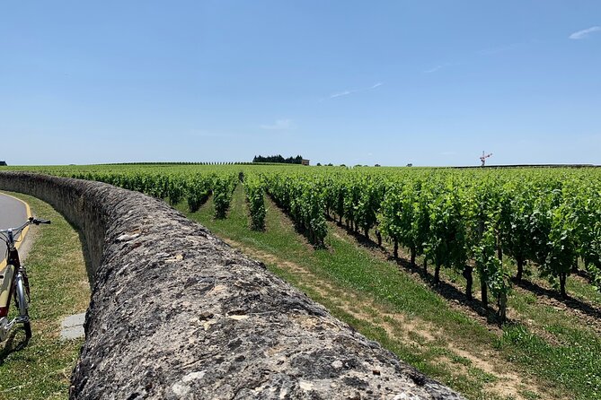 Saint-Emilion Afternoon Wine Tour - 2 Wineries & delicacies - Leaving Bordeaux in an air-conditioned minivan