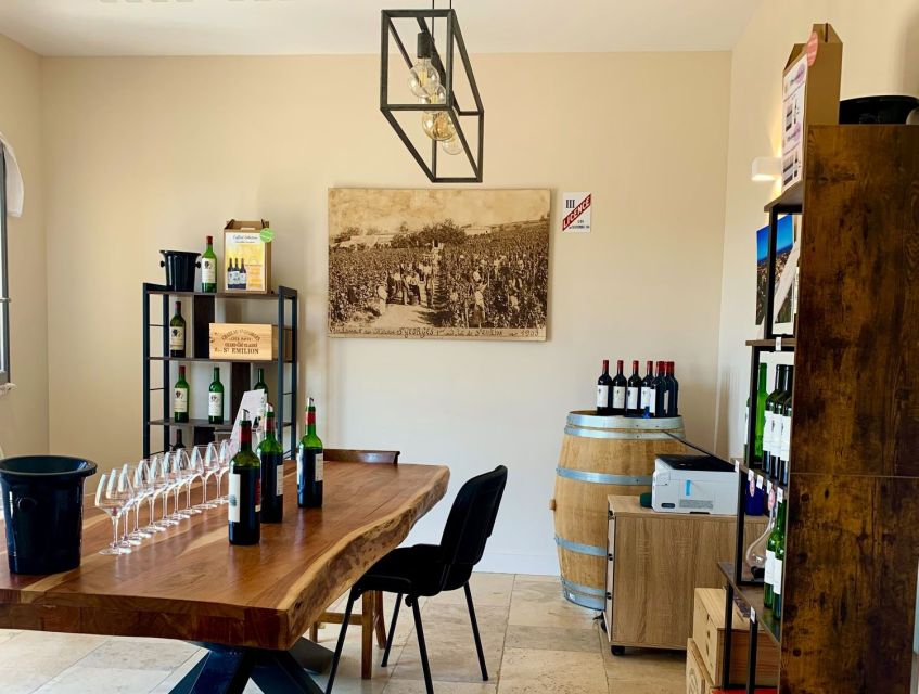 Saint-Émilion: Bordeaux Vineyard Tour and Wine Tasting - Why this one-hour Saint-Émilion visit works