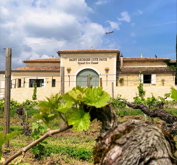 Saint-Émilion: Bordeaux Vineyard Tour and Wine Tasting - Inside the cellar and the barrel-aging process