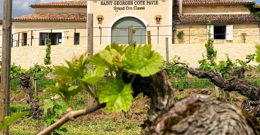 Saint-Émilion: Bordeaux Vineyard Tour and Wine Tasting - Price, timing, and overall value