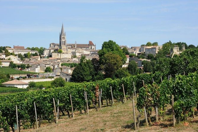 Saint-Émilion day tour: village visit, Châteaux and lunch - Château visit two: a closer look at appellation and methods