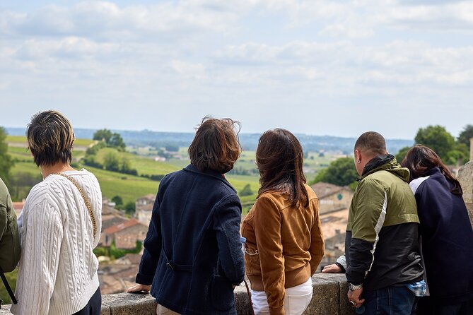 Saint-Émilion day tour: village visit, Châteaux and lunch - The road to Saint-Émilion and its vineyard lesson