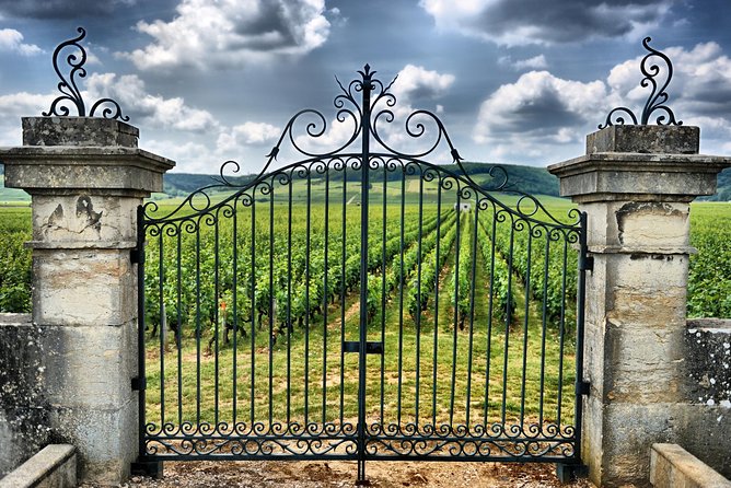 Saint Emilion Day Trip with Sightseeing Tour & Wine Tastings from Bordeaux - Is $250.33 good value for eight hours?