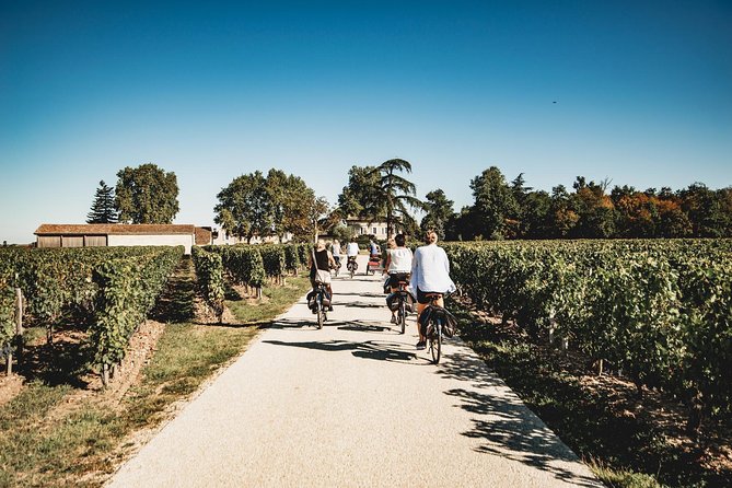Saint-Emilion Electric Bike Day Tour with Wine Tastings & Lunch - Why an e-bike is the right way to see Saint-Émilion