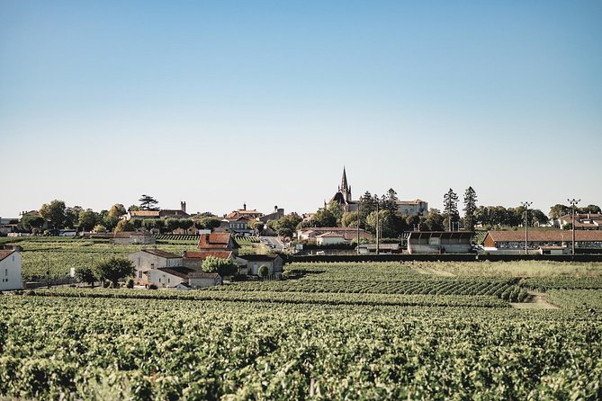 Saint-Emilion Electric Bike Day Tour with Wine Tastings & Lunch - The guides make a real difference