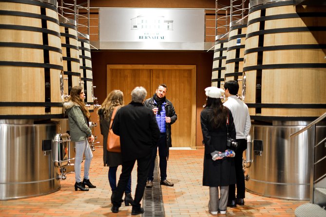 Saint-Emilion Food and Wine Day Tour - Who should book this experience?
