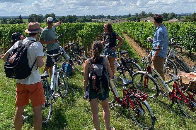 Saint Emilion Full Day Wine and Bike Tour - Riding through Saint-Émilion’s vineyard country