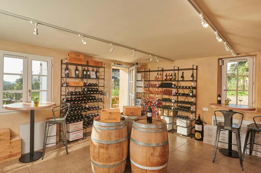 Saint-Emilion: Grand Cru Classé Gourmet Visit - Who will get the most from this visit?