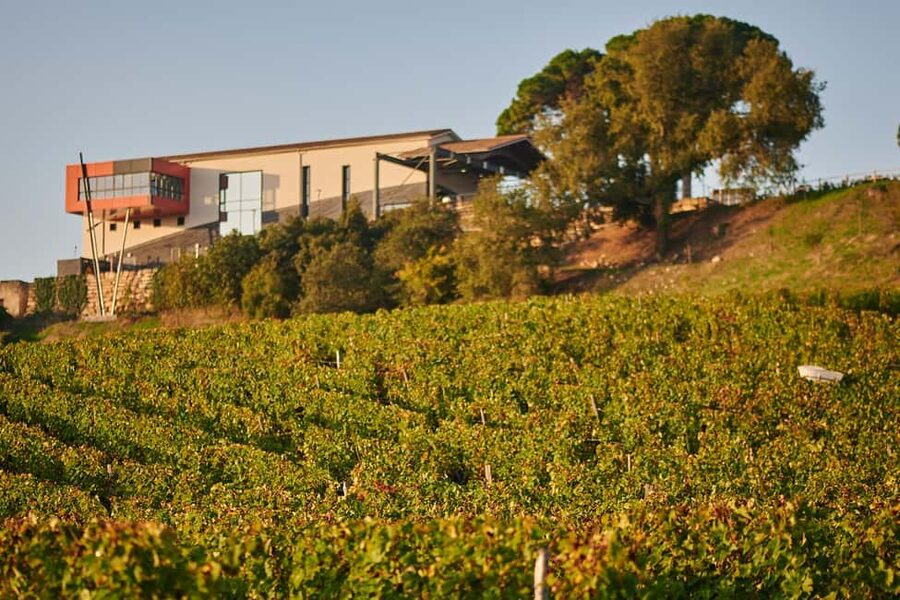 Saint-Émilion: Grand Cru Classé Winery Visit and Tasting - Why the old and new pairing works