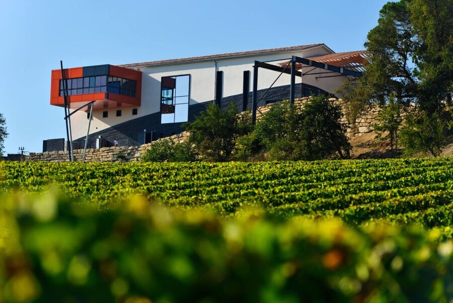Saint-Émilion: Grand Cru Classé Winery Visit and Tasting - The views are part of the value
