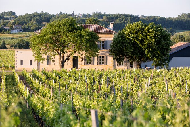 Saint Emilion Half-Day Trip with Wine Tasting & Winery Visit from Bordeaux - How the wine lesson affects the pace