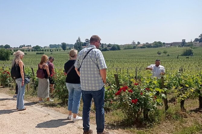 Saint Emilion Morning Wine Tour - Winery & Tastings from Bordeaux - What the guides add to the day