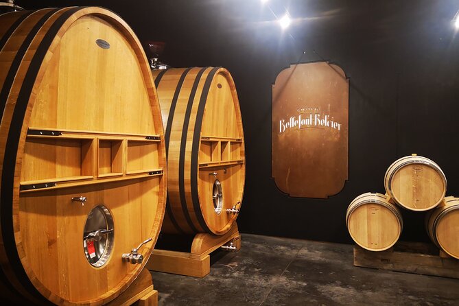 Saint-Emilion Private Full Day Wine Tour from Bordeaux - Key details before you book