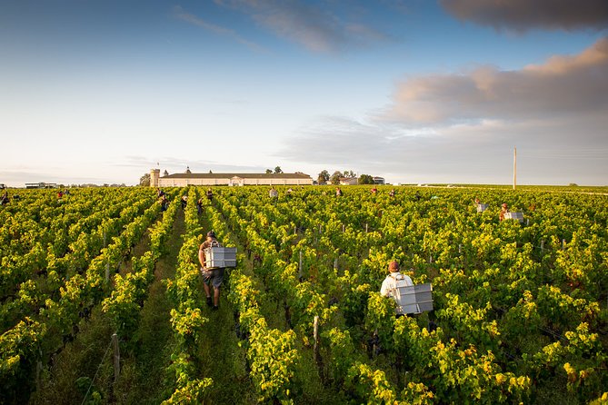Saint-Emilion Private Full Day Wine Tour from Bordeaux - Leaving Bordeaux for Saint-Emilion