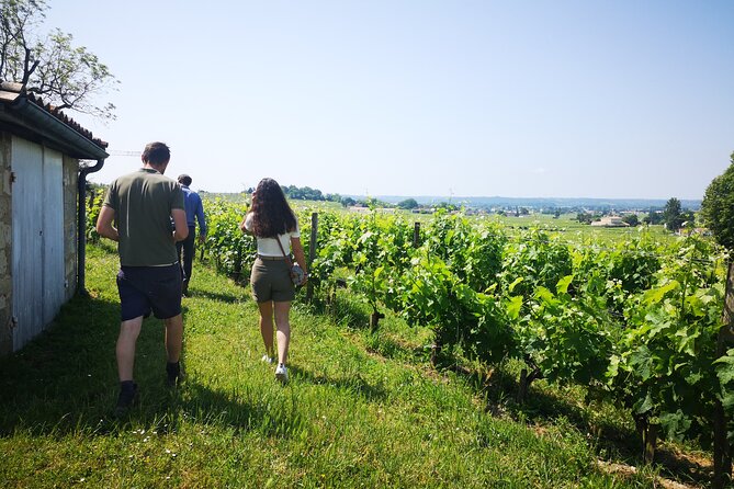 Saint-Emilion Private Full Day Wine Tour from Bordeaux - Who will enjoy this Saint-Emilion day most