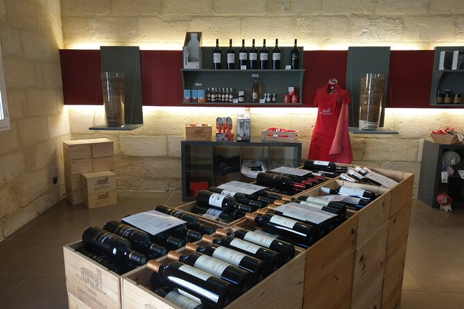 Saint-Emilion Private Full Day Wine Tour from Bordeaux - Three châteaux, three chances to understand Bordeaux wine