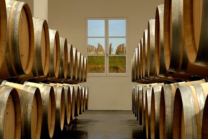 Saint-Emilion Private Half Day Wine Tour from Bordeaux - At the château: one focused tasting