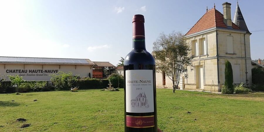 Saint-Émilion: Vineyard Walking Tour and Tasting - Key points at a glance