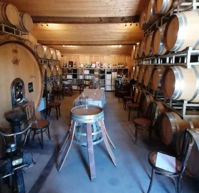 Saint-Émilion: Vineyard Walking Tour and Tasting - Why this family château feels different