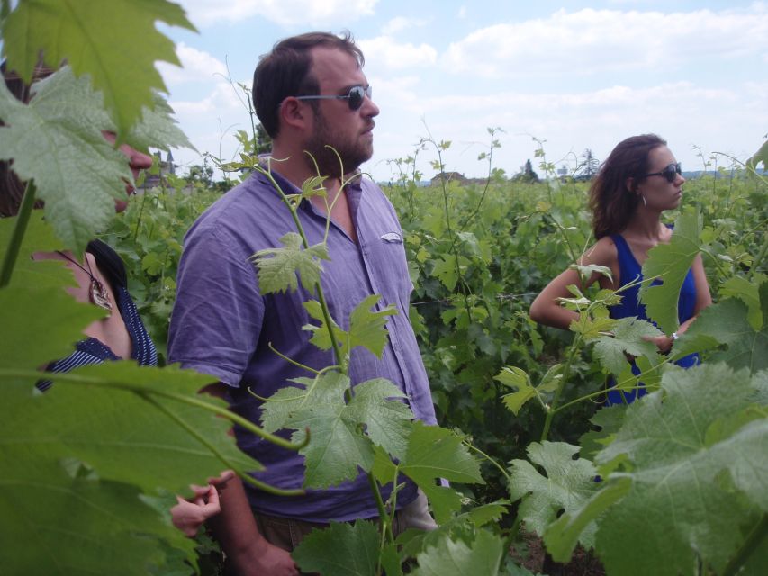Saint-Émilion: Vineyard Walking Tour and Tasting - Inside the vinification cellar