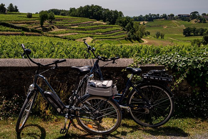 Saint-Émilion Wine Tour By Premium Electric Bike, Lunch Included - Key points to know before you book