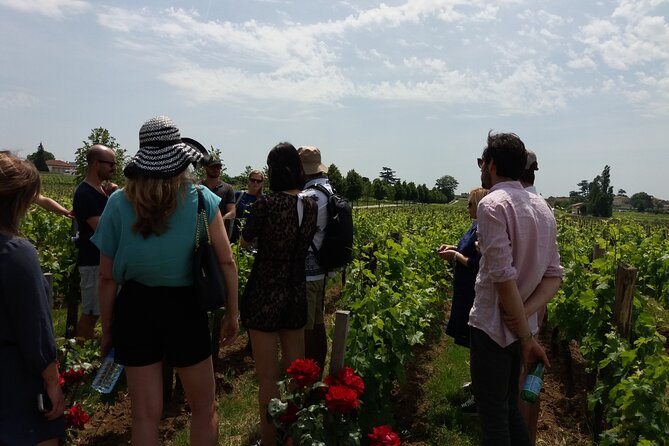 Saint Emilion Wine Tour Tasting Half Day from Bordeaux - Key points to know before booking