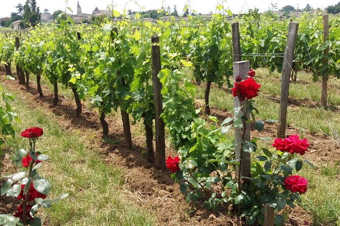 Saint Emilion Wine Tour Tasting Half Day from Bordeaux - Second winery: family methods and organic production