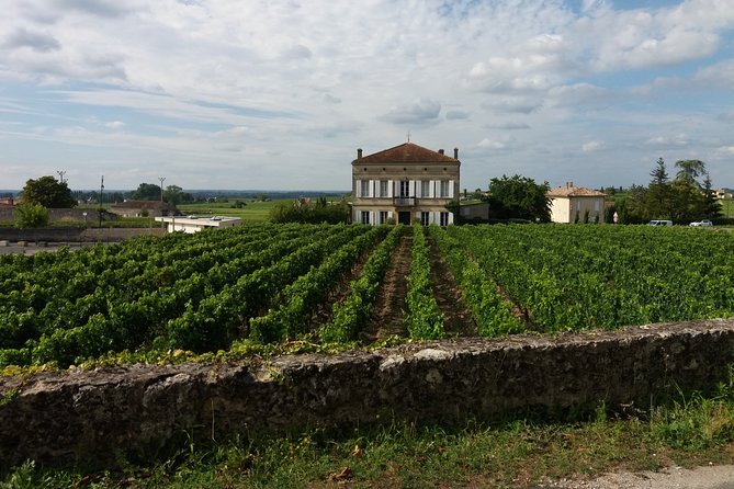 Saint Emilion Wine Tour Tasting Half Day from Bordeaux - One hour in the medieval village