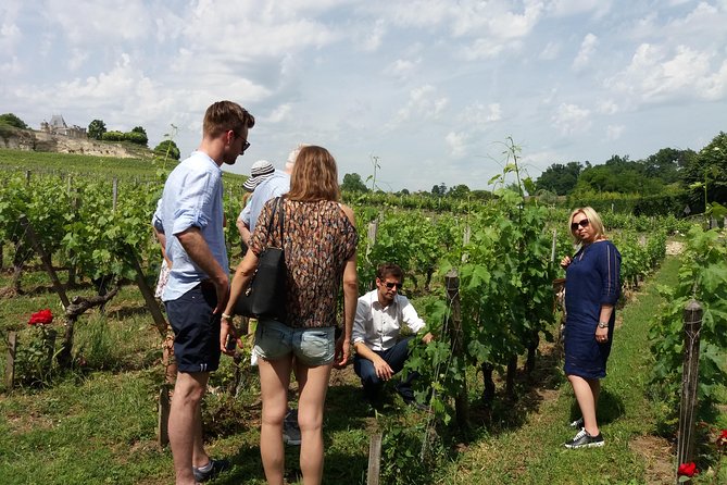 Saint Emilion Wine Tour Tasting Half Day from Bordeaux - Guides make the difference