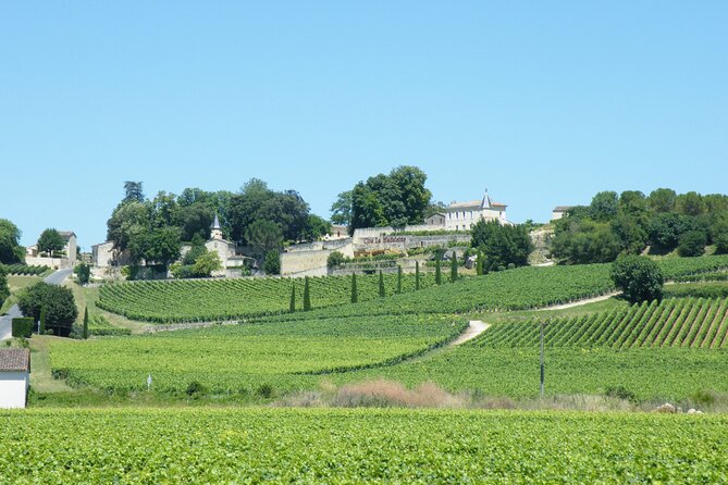 Saint Emilion Wine Tour Tasting Half Day from Bordeaux - What you receive for $116.14