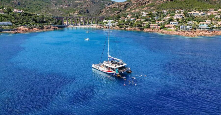 Saint Raphaël: Guided cruise, discover a beautiful coastline - The Anthéor Viaduct stop
