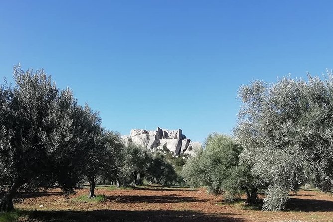 Saint Remy, Les Baux and Pont du Gard Small Group Half-Day Trip - What the guide adds between the stops
