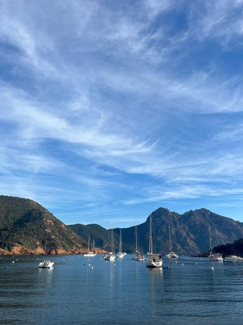 Scandola, Piana & Girolata - Price, timing, and practical value