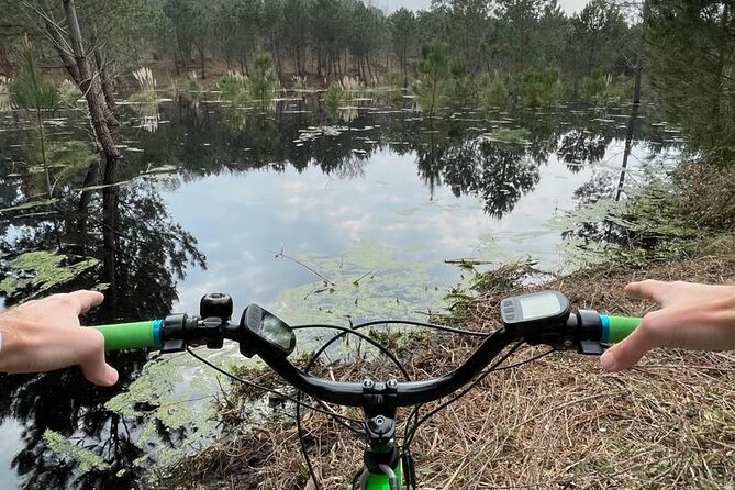 Seignosse electric scooter excursion - Why a Seignosse forest ride feels different