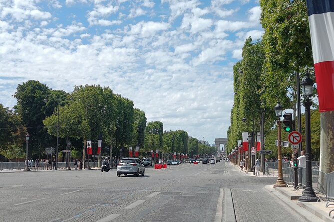 Sightseeing tour of most iconic parisian monuments (rickshaw) - Grand Palais, Petit Palais, and the presidential area