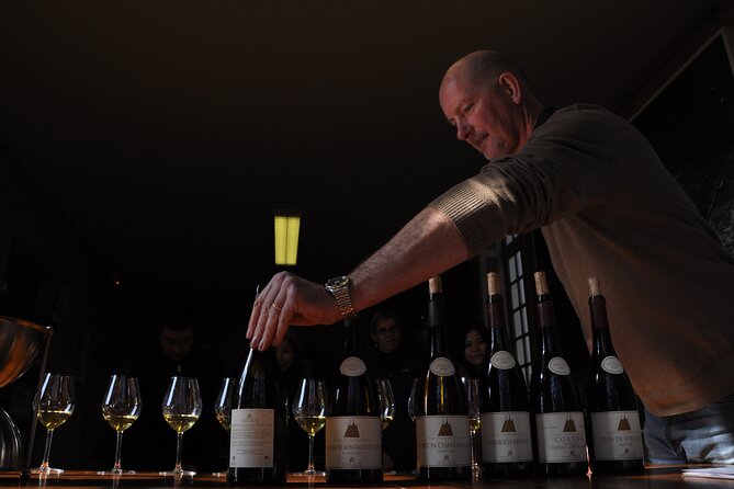 Small group Burgundy tour of Beaune with Wine Tasting from Dijon - The Burgundy tasting: five to seven wines